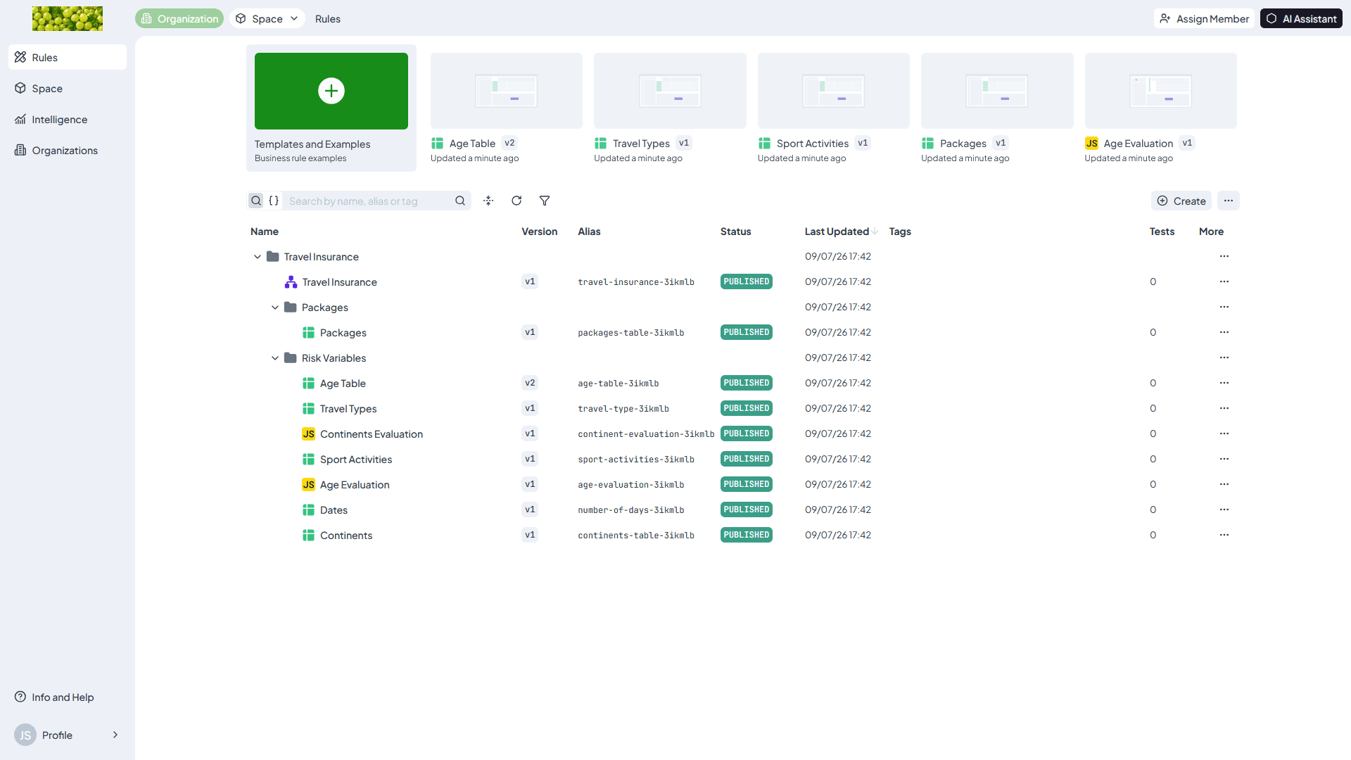 DecisionRules interface displaying a custom company logo in the navigation