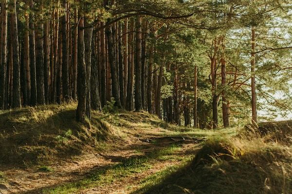 Cloud-Native DecisionRules vs. Monolithic Drools hero image