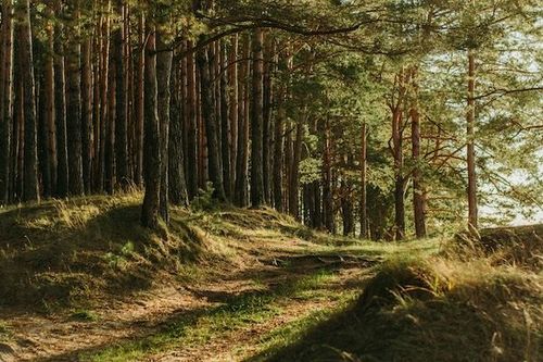 Cloud-Native DecisionRules vs. Monolithic Drools image